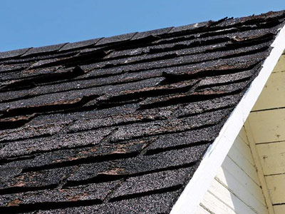 Toro Roofing LLC Images