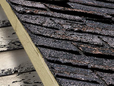 Toro Roofing LLC Images