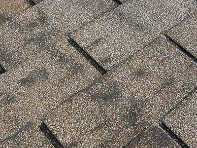 Toro Roofing LLC Images
