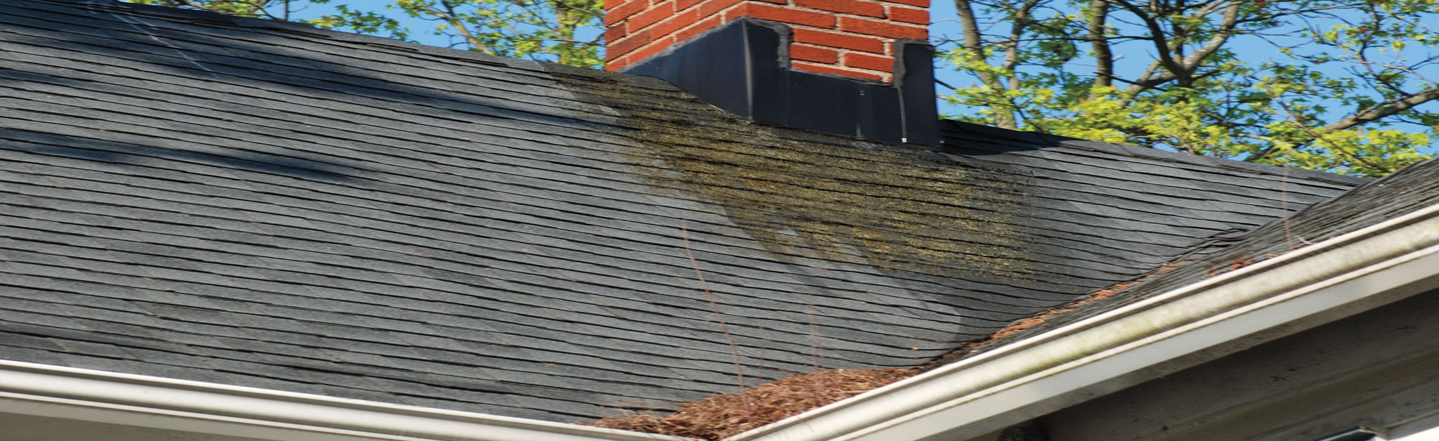 Toro Roofing LLC Images